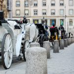 Carriages on the street in Vienna
