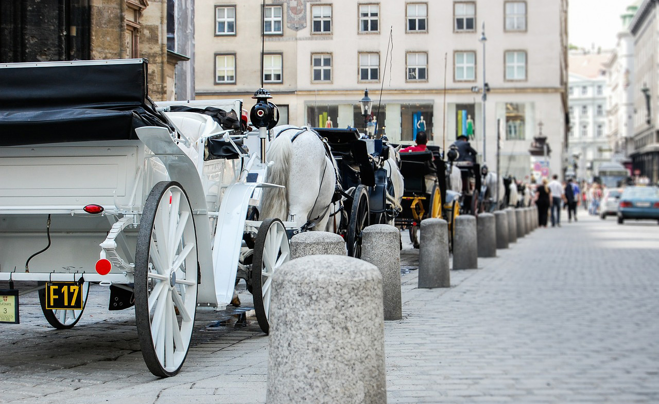 Carriages on the street in Vienna